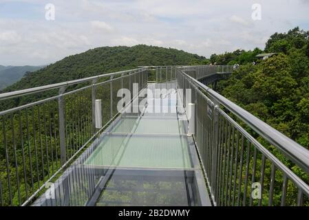 Die Glasbrücke im Yanoda-Regenwaldpark auf der Insel Hainan in der Stadt Sanya in China Stockfoto