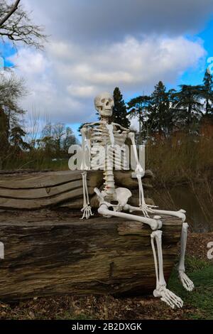 Ein Skeleton saß auf einer Baumbank, Droitwich Spa, Worcester, Großbritannien, 02/03/2020, Skeleton saß auf einer Holzbank, die Spaß für halloween hat, ideal für p Stockfoto