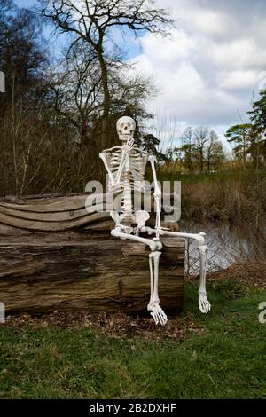 Ein Skeleton saß auf einer Baumbank, Droitwich Spa, Worcester, Großbritannien, 02/03/2020, Skeleton saß auf einer Holzbank, die Spaß für halloween hat, ideal für p Stockfoto