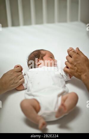 Neugeborenes Mädchen, das die Hände ihrer Eltern hält Stockfoto