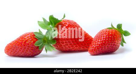 Drei Erdbeeren mit Erdbeeren Blatt auf weißem Hintergrund. Stockfoto