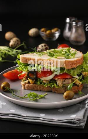 Sandwich mit Huhn, Kirschtomaten, Wachteleiern und Mikrogrüns vor dunklem Hintergrund, Vertikale Ausrichtung Stockfoto