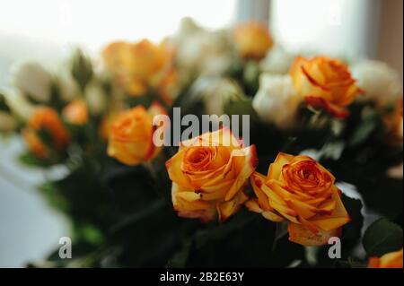 Mehrfarbiges, üppiges Rosenstrauß aus orangefarbenen und weißen Rosen Stockfoto