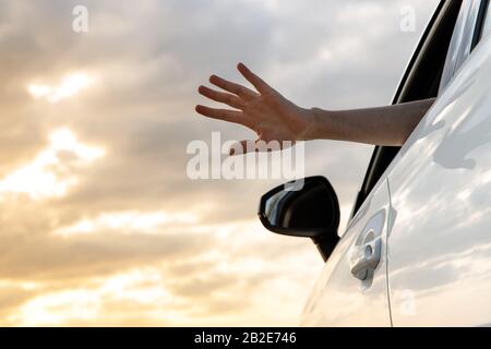 Mann im Auto, der seine Hand im Freien zeigt/sich bei Sonnenuntergang aus dem Autofenster lehnt, sich entspannt, auf der Straße unterwegs genießt und Luft und Freiheit spürt. Stockfoto