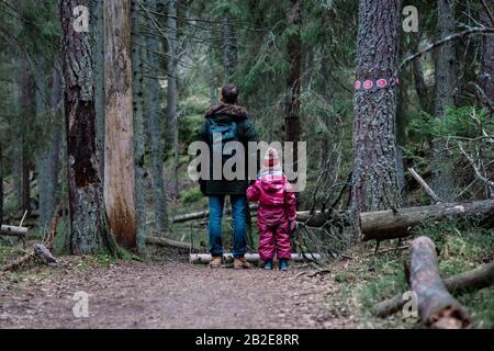 Vater und Tochter stehen gemeinsam in einem Wald beim Wandern Stockfoto