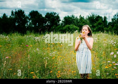 Mädchen pflücken wilde Blumen in einem südliches Michigan Feld Stockfoto