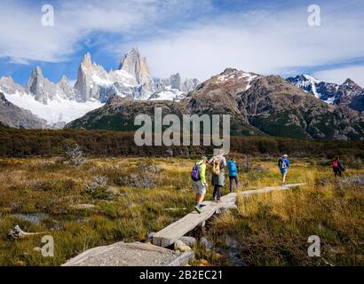 Nationalpark LOS GLACIARES, ARGENTINIEN - CIRCA FEBRUAR 2019: Backpackers Wandern im Nationalpark los Glaciares in Argentinien. Stockfoto