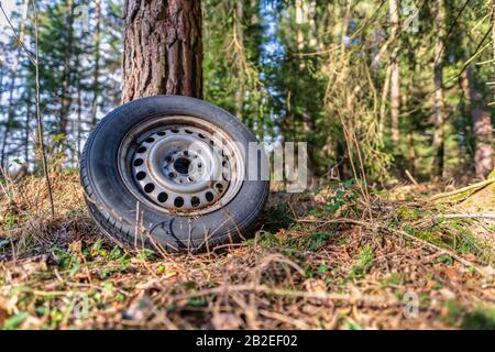 Abfall- und Naturverschmutzung, ein Vergehen der Umwelt in einem Wald, ein hinterer Reifen. Stockfoto