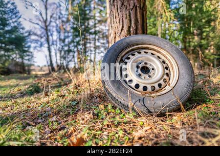 Umweltverfall in einem Wald, ein hinterer Reifen in reiner Natur. Stockfoto