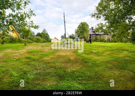 Ein Shetland-Pony grast auf Rasen und Garten zwischen zwei ländlichen Häusern auf dem Land in der Nähe von Helsinki Finnland. Stockfoto