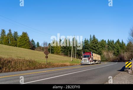 Transport in Industriequalität Big Rig Red Classic Semi-Truck mit leistungsstarkem Dieselmotor, der Holzklumpenholz auf Flachbett-Sattelanhängern transportiert Stockfoto