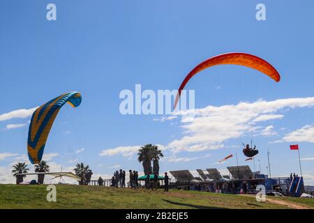 San Diego CA 3-02-2020 Gleitschirmfliegen im Torrey Pines Segelflughafen Stockfoto