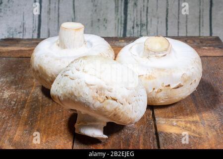 Champignon-Pilze auf einer Holzschnittplatte Stockfoto