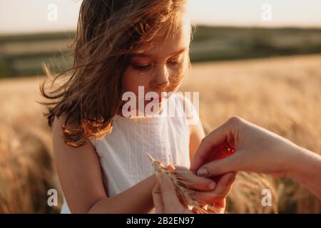 Charmantes, rothaariges kaukasisches Mädchen, das einige Weizensamen in einem Feld in der Nähe ihrer Mutter hält Stockfoto