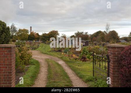 Alotments in der Boradway Didcot Town Oxfordshire UK Stockfoto