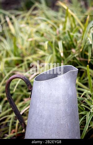 Oberer Teil eines alten Metallgefäßes, der für die Bewässerung von Pflanzen verwendet wird, vor Gras Stockfoto