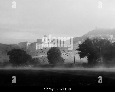 Surreale Sicht auf die Kirche Assisi und St. Franziskus (Umbrien, Italien) mitten im Nebel mit einer Vogelschar über einem kultivierten Feld Stockfoto
