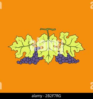 Trauben mit violettem Blattvektor Stock Vektor