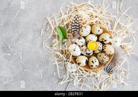 Platte mit Wachteleiern und Frühlingsblüte auf altem Holzhintergrund Stockfoto