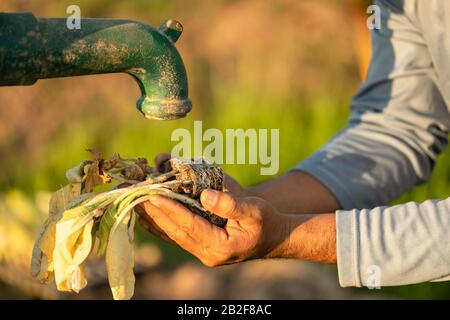 Nahaufnahme des Bauern, der auf Wasser von der Vintage Outdoor-Wasserpumpe wartet. Für Dürrejahreskonzept Stockfoto