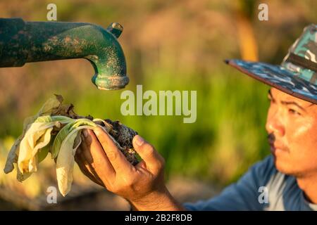 Nahaufnahme des Bauern, der auf Wasser von der Vintage Outdoor-Wasserpumpe wartet. Für Dürrejahreskonzept Stockfoto