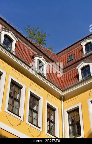 Bachmuseum, Thomaskirchhof, Leipzig, Sachsen, Deutschland Stockfoto
