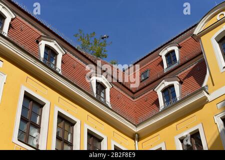 Bachmuseum, Thomaskirchhof, Leipzig, Sachsen, Deutschland Stockfoto