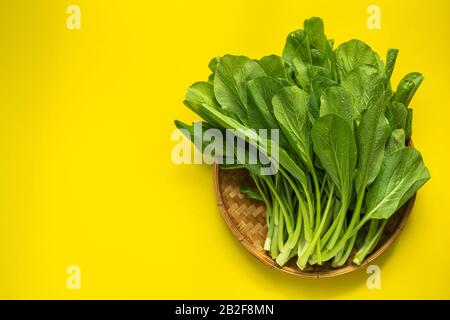 Draufsicht Grün frisch bok choy oder kantonesischer Grünkohl auf gelbem Hintergrund. Platz für Text oder Design kopieren Stockfoto