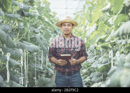 Asiatischer Junglandwirt oder Akademiker, der auf dem Bauernhof junger grüner Melone arbeitet. Forschung oder Überprüfung nach dem Pflanzkonzept Stockfoto