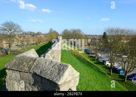 Frühlings-Narzissen in Blume an den Stadtmauern von York Stockfoto