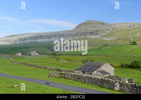 Sommerblick auf Ingleborough, einen der berühmten Drei Gipfel von Yorkshire Stockfoto