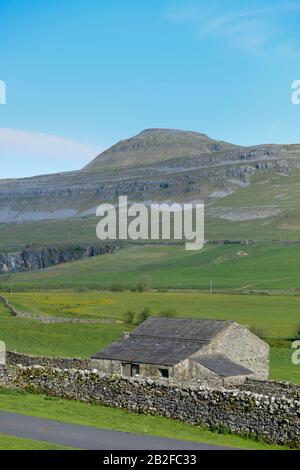 Sommerblick auf Ingleborough, einen der berühmten Drei Gipfel von Yorkshire Stockfoto