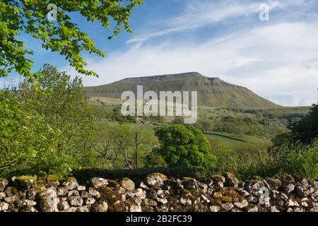 Sommerblick auf Ingleborough, einen der berühmten Drei Gipfel von Yorkshire Stockfoto