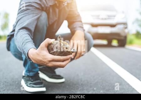 Schildkröte, die die Straße überquert. Der Fahrer hält das Auto an und hilft Schildkröten auf der Straße. Sicherheit und achten Sie auf das Fahrkonzept Stockfoto