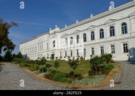 Leopoldina, Jägerberg, Halle an der Saale, Sachsen-Anhalt, Deutschland Stockfoto