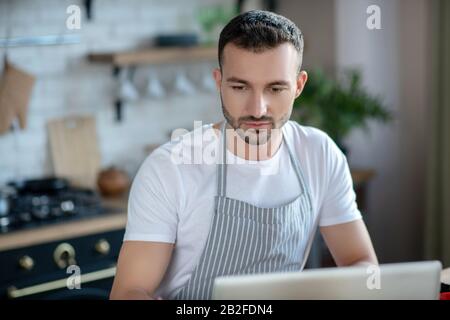 Erfolgreicher junger Mann in der Schürze mit Blick auf den Laptop-Bildschirm. Stockfoto