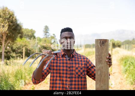 Porträt eines afroamerikanischen Mannes, der auf einem Bauernfeld steht, sich an einen Zaunpfosten lehnt, einen Pitchfork an der Schulter hält und nach einer Kamera blickt. F. Stockfoto