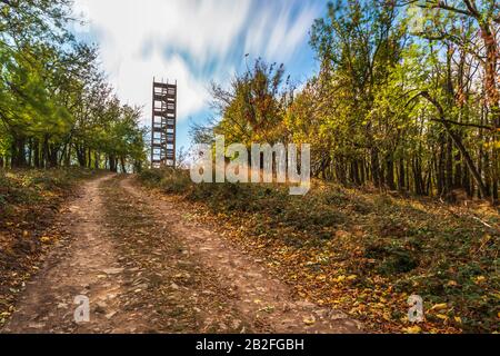 Aussichtsturm aus Holz in Der Hohen Homola, Slowakei Stockfoto