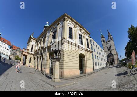 Altes Rathaus, Alter Markt, Magdeburg, Sachsen-Anhalt, Deutschland Stockfoto