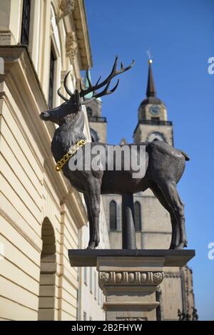 Hirschsaeule, Alter Markt, Magdeburg, Sachsen-Anhalt, Deutschland Stockfoto