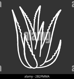 Weiße Ikone der Aloe vera Kreide auf schwarzem Hintergrund. Saftig wachsende Sprossen. Kakteenblätter. Heilkraut für Hautpflege. Inhaltsstoff für organische Kosmetik Stock Vektor