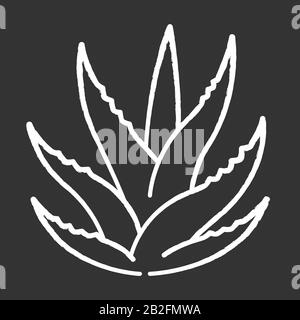 Saftige Kreide-weiße Ikone auf schwarzem Hintergrund. Aloe vera sprosst. Kakteenblätter. Wachsendes Heilkraut. Dekorative Pflanze. Stock Vektor