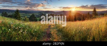 Schöne Sommerpanorama-Landschaft in den Bergen - Pieniny/Tatra, Slowakei Stockfoto