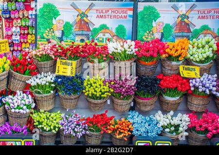 Bunte verschiedene Tulpen in Körben auf dem Amsterdamer Blumenmarkt, Holland, Niederlande Stockfoto