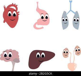 Organe des menschlichen Körpers im Cartoon-Stil. Herz, Gehirn, Atemwege, Verdauungssystem, Exkretorium. Gesundheit, Lächeln. Stock Vektor