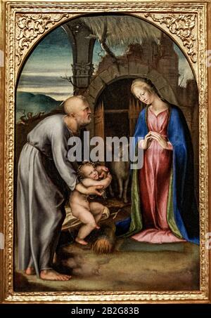 Italien Marken Pesaro - Bürgermuseum - Kunstgalerie - Anbetung des Jesuskindes, Öl auf Platte 1513 von Domenico Beccafumi Stockfoto