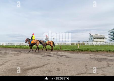 Ein männlicher und weiblicher Jockey trainieren Pferde auf der Rennbahn Epsom Downs. Der Druckständer ist rechts neben dem Foto zu sehen. Stockfoto