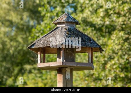 Ein Fütterbrett für Vögel in freier Wildbahn mit grünem Hintergrund Stockfoto