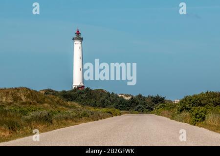 Hvide Sande, Dänemark - 07. juli 2020: Leuchtturm Hvide sande mit Blumen und Dünen im Vordergrund. Stockfoto