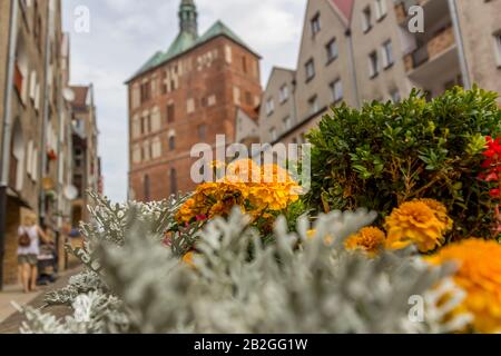 Kolobrzeg, Polen - 31. juli 2016: Die Große Kathedrale in Kolobrzeg, Polen Stockfoto